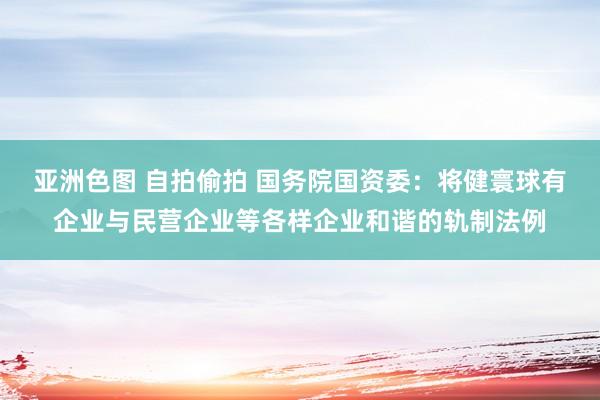 亚洲色图 自拍偷拍 国务院国资委：将健寰球有企业与民营企业等各样企业和谐的轨制法例