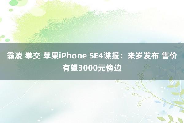 霸凌 拳交 苹果iPhone SE4谍报:来岁发布 售价有望3000元傍边