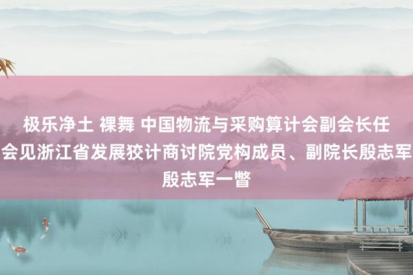 极乐净土 裸舞 中国物流与采购算计会副会长任豪祥会见浙江省发展狡计商讨院党构成员、副院长殷志军一瞥