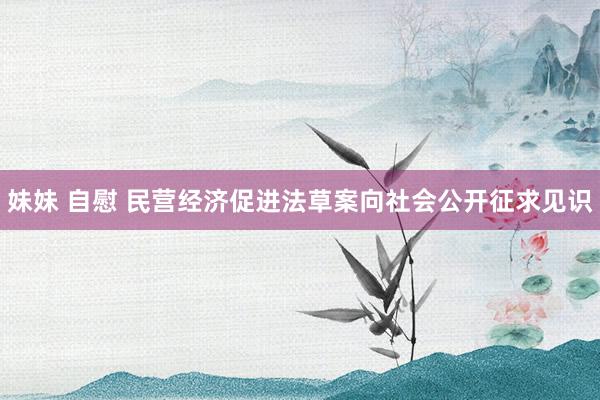 妹妹 自慰 民营经济促进法草案向社会公开征求见识