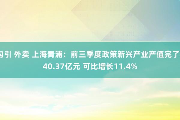 勾引 外卖 上海青浦：前三季度政策新兴产业产值完了440.37亿元 可比增长11.4%