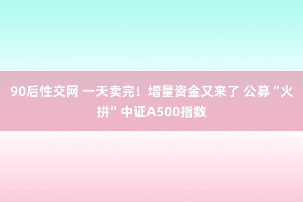 90后性交网 一天卖完！增量资金又来了 公募“火拼”中证A500指数