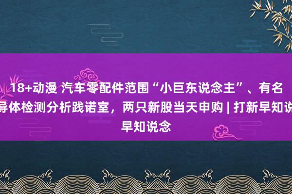 18+动漫 汽车零配件范围“小巨东说念主”、有名半导体检测分析践诺室，两只新股当天申购 | 打新早知说念
