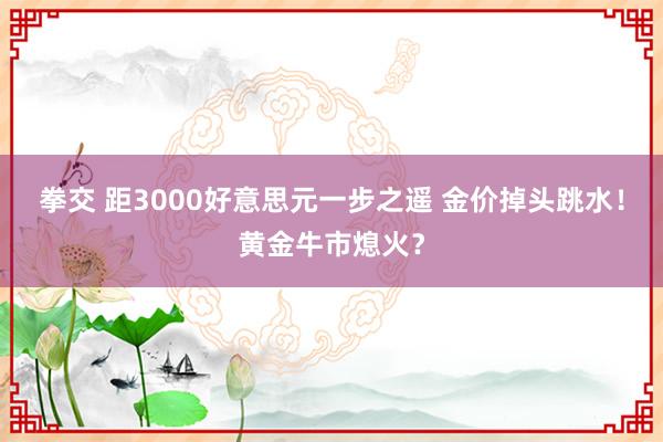拳交 距3000好意思元一步之遥 金价掉头跳水！黄金牛市熄火？