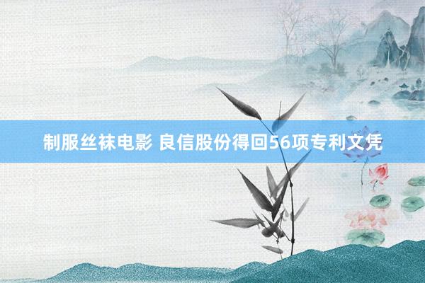 制服丝袜电影 良信股份得回56项专利文凭