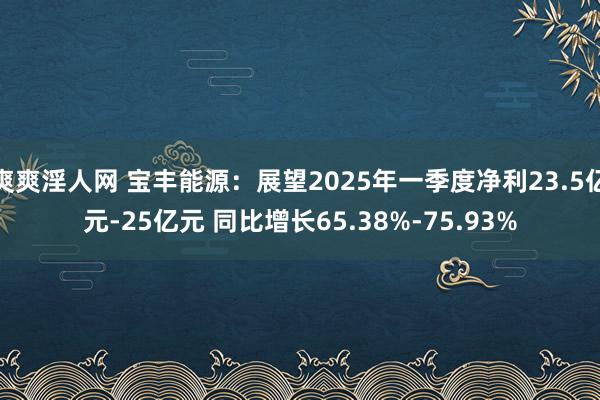 爽爽淫人网 宝丰能源：展望2025年一季度净利23.5亿元-25亿元 同比增长65.38%-75.93%